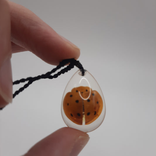 Ladybird Necklace