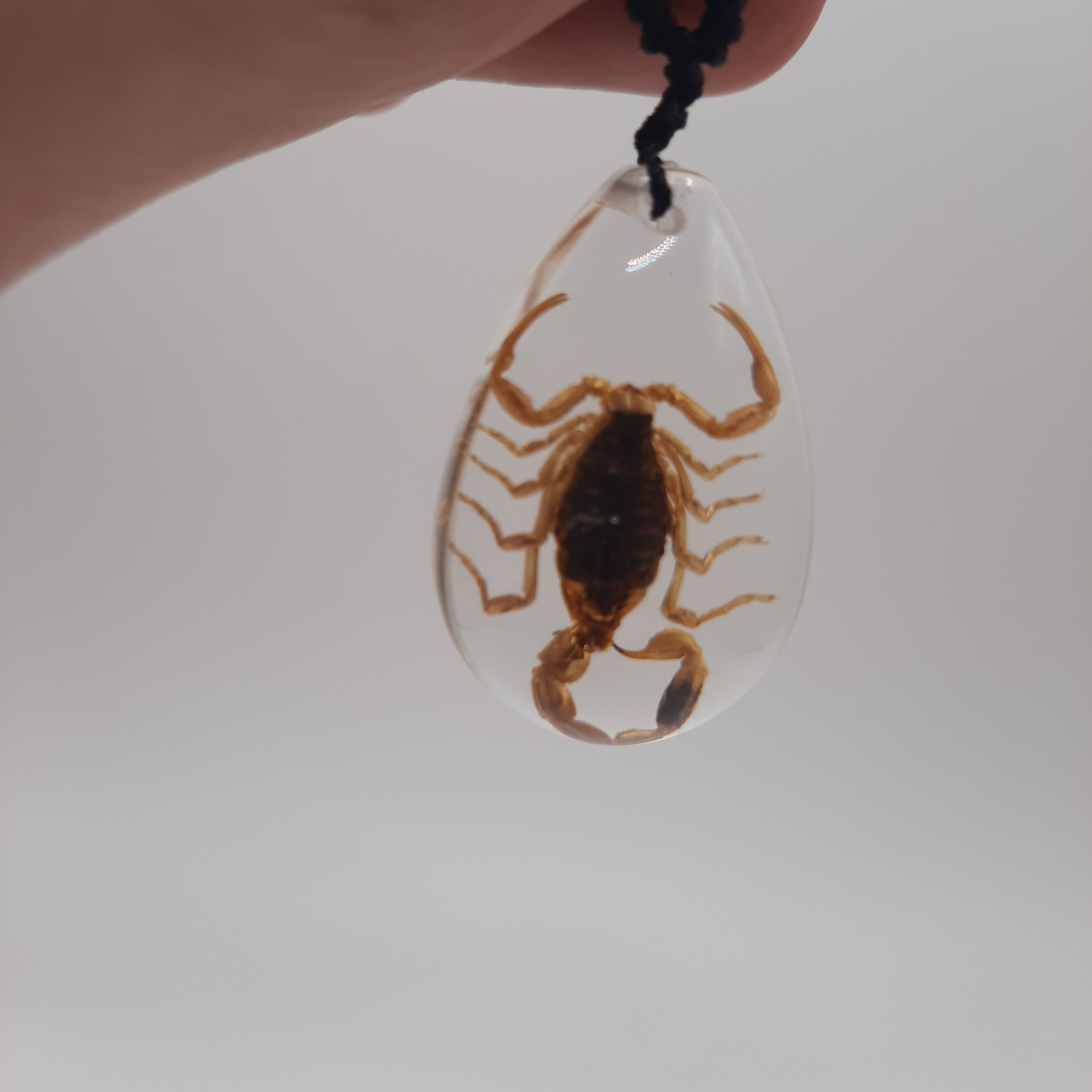 Brown Scorpion Necklace
