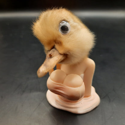 Chick With A Duck