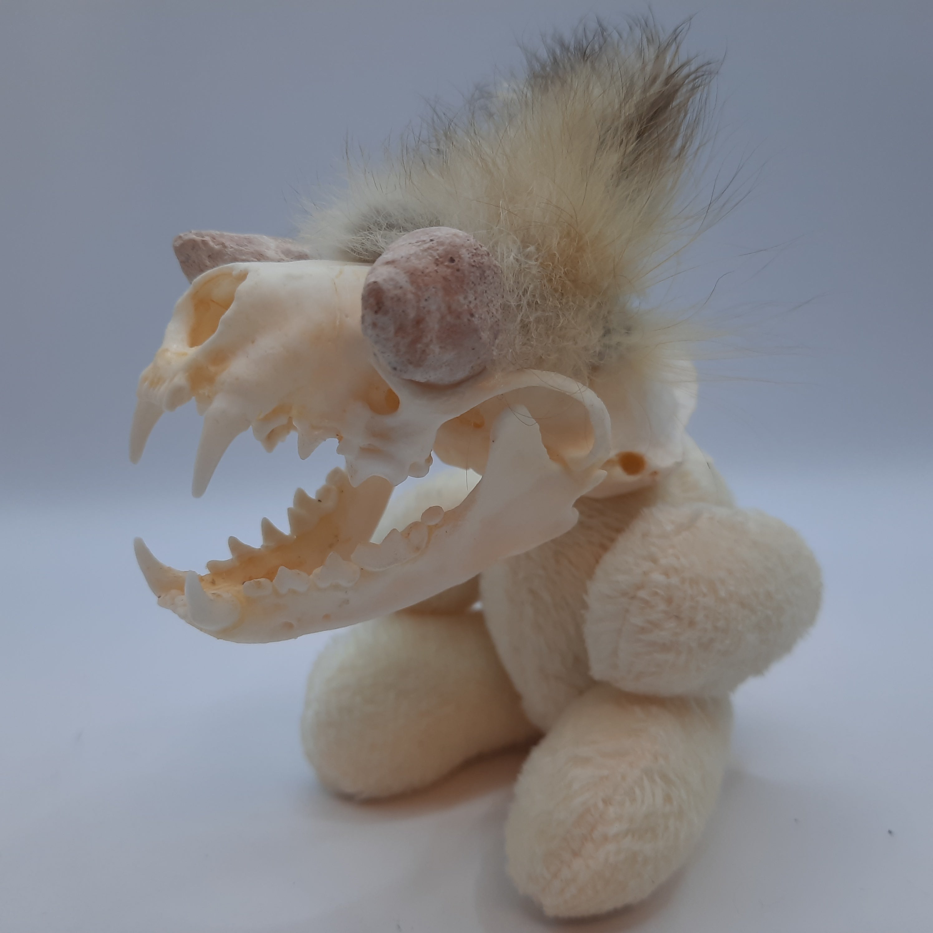 Deaddy Bear
