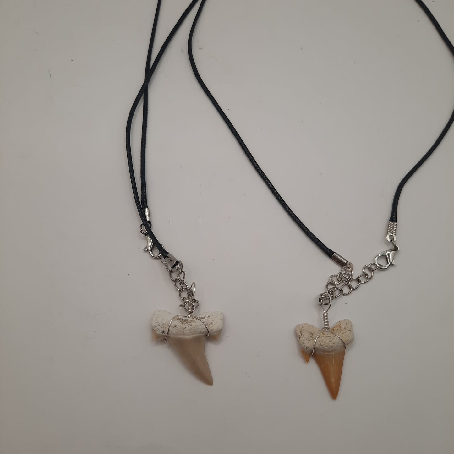 Shark Tooth Necklace