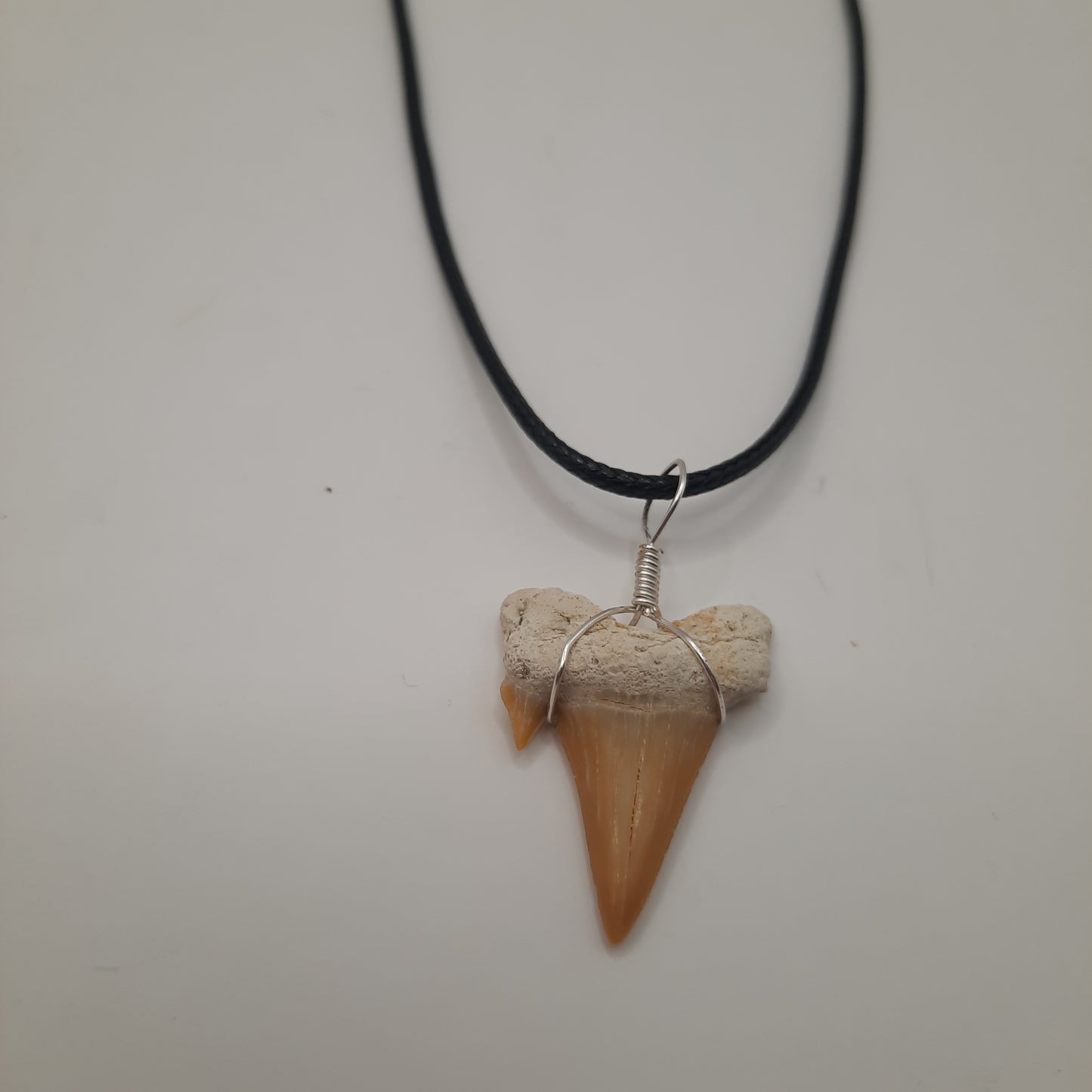 Shark Tooth Necklace