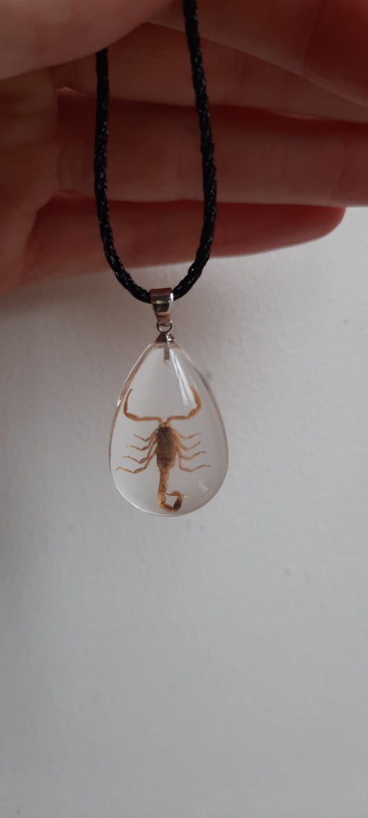 Brown Scorpion Necklace