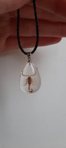Brown Scorpion Necklace