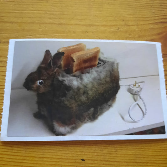 Rabbit Toaster REAL Sticker