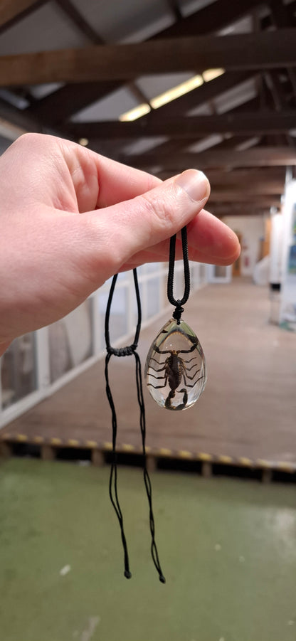 Bigger Scorpion Necklace