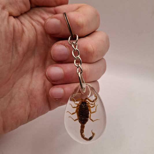 Scorpion Keyring