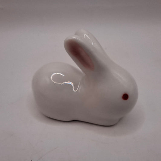 Demonic Looking Rabbit