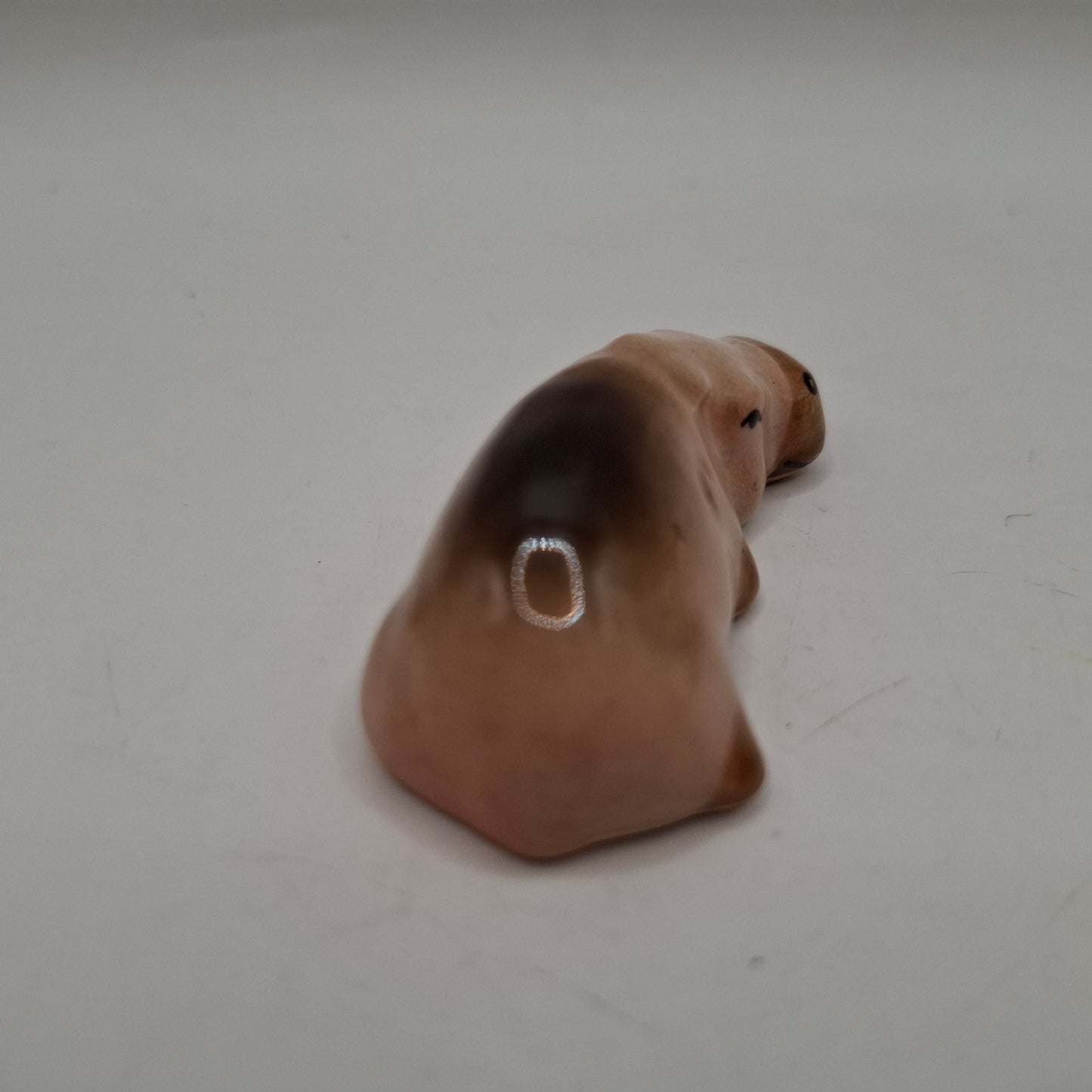 Tiny Animals