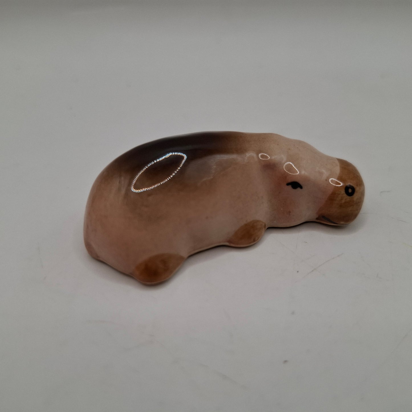 Tiny Animals