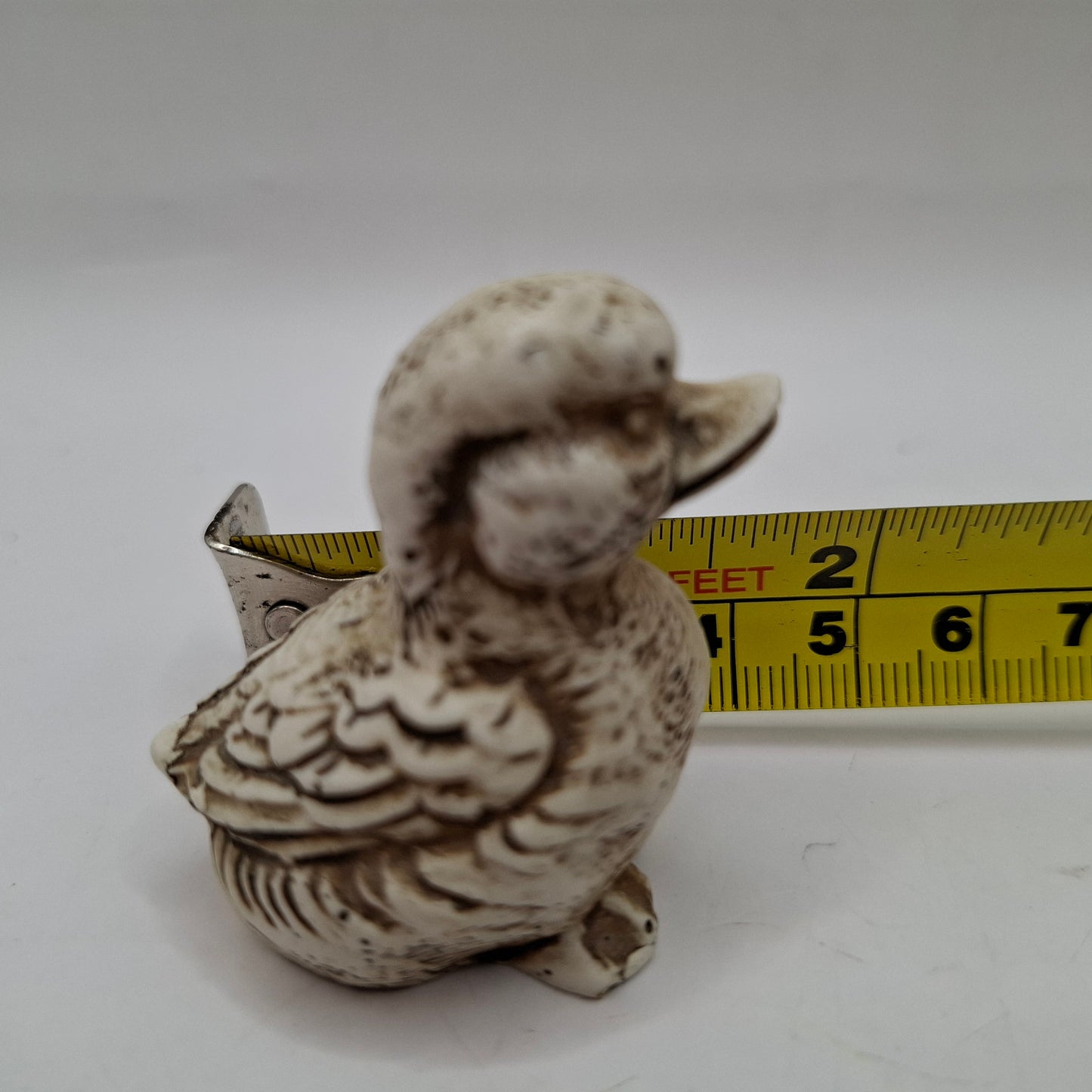 Tiny Animals
