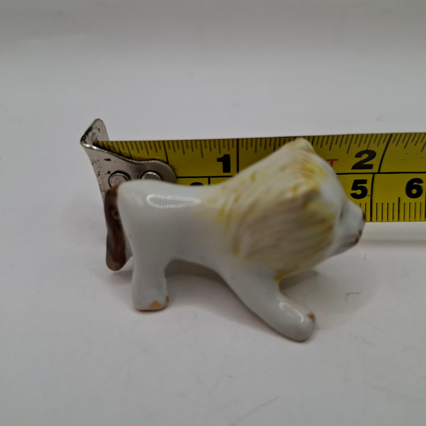 Tiny Animals