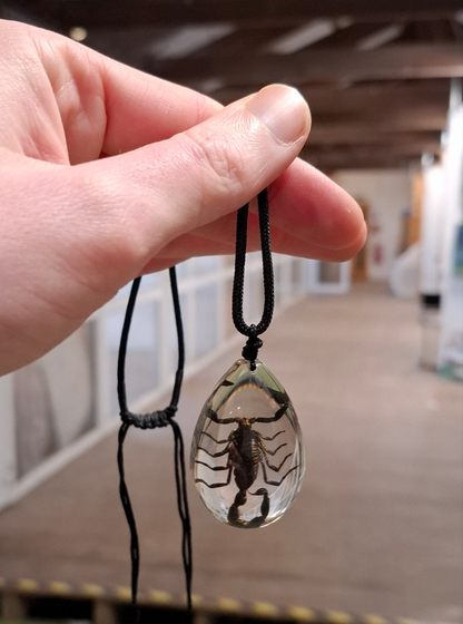 Bigger Scorpion Necklace