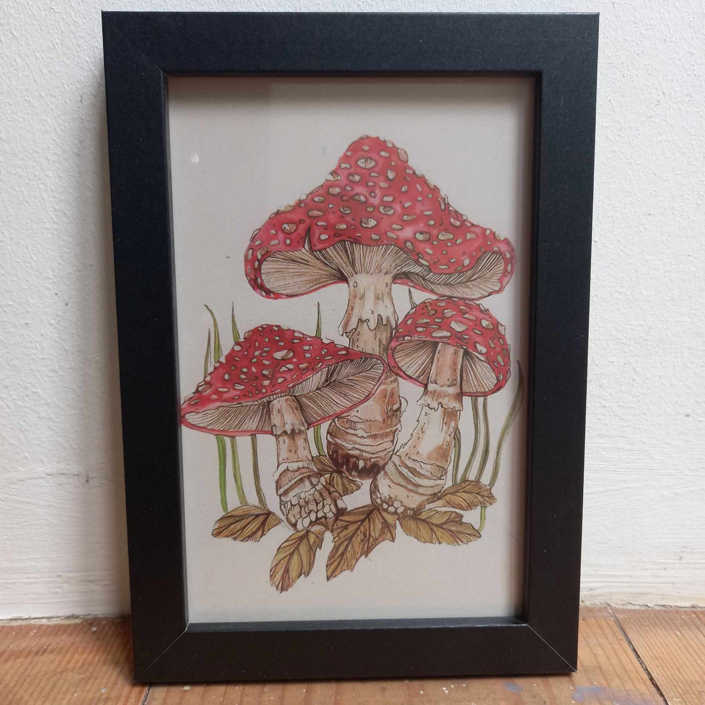 Framed Illustrations (Anatomical and more)