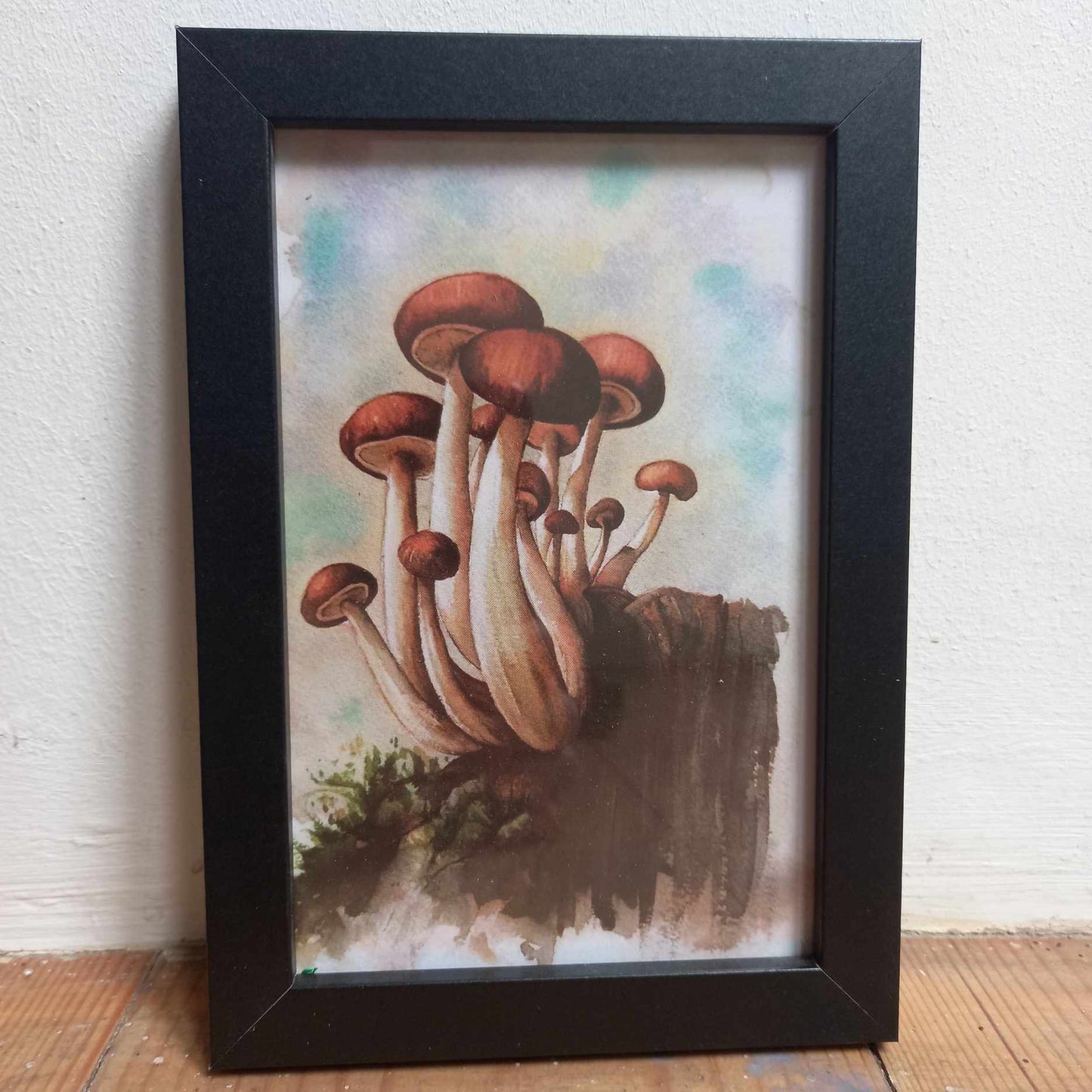 Framed Illustrations (Anatomical and more)