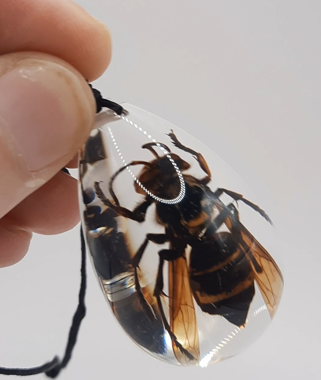 Big Wasp Necklace
