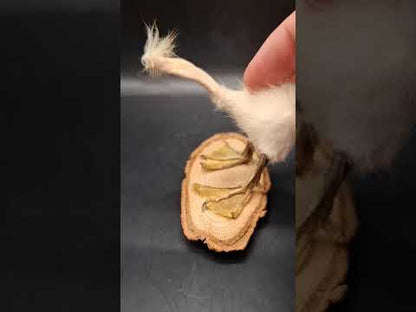 The Stork