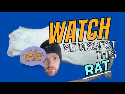 Watch Me Dissect This Rat Wall Sign