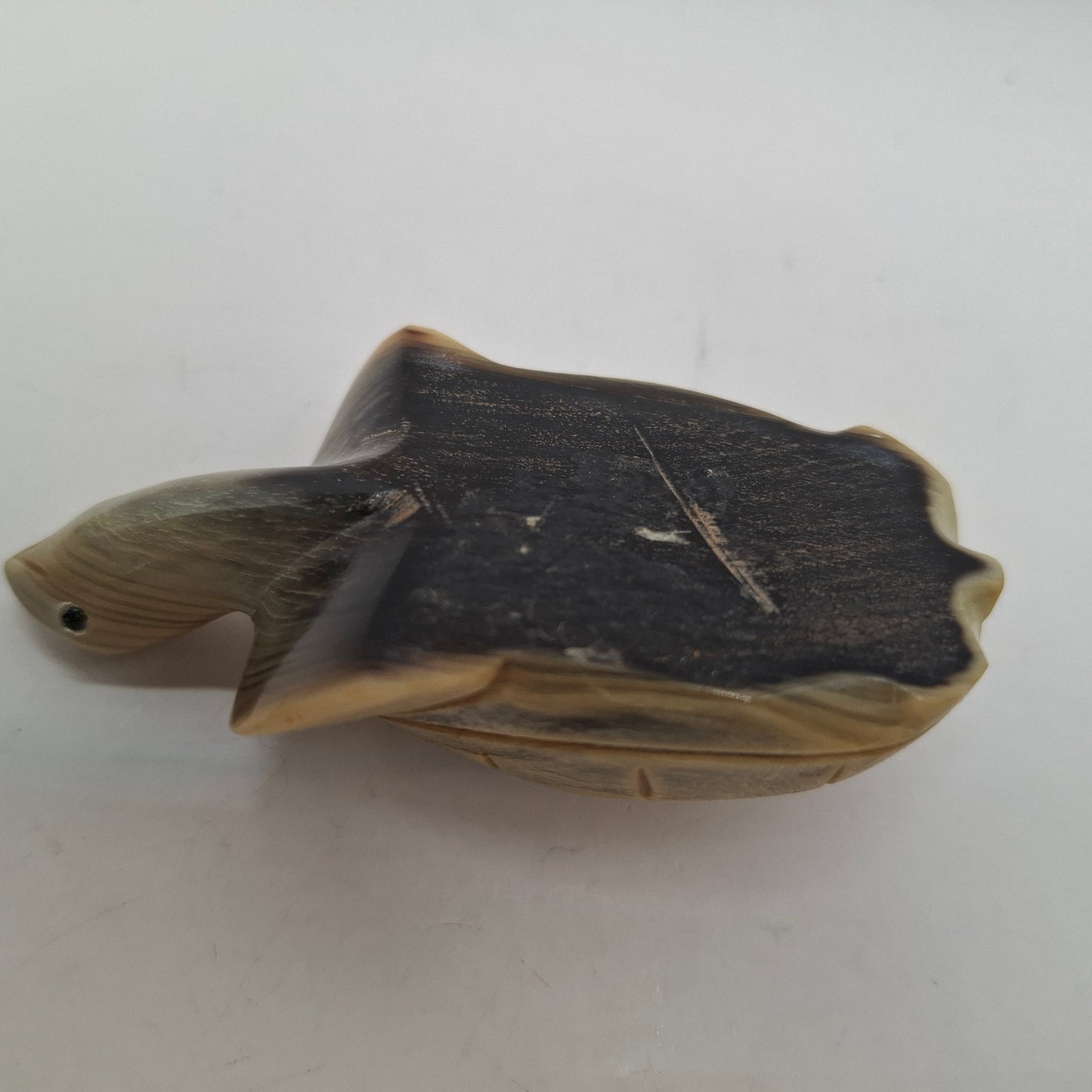 Horn Carving Of A Turtle