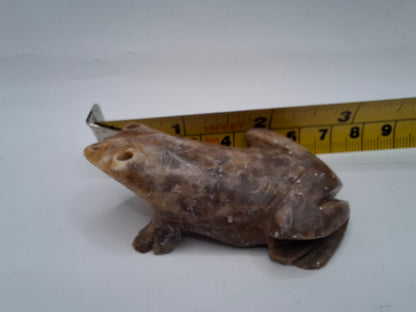 Weird Frogs