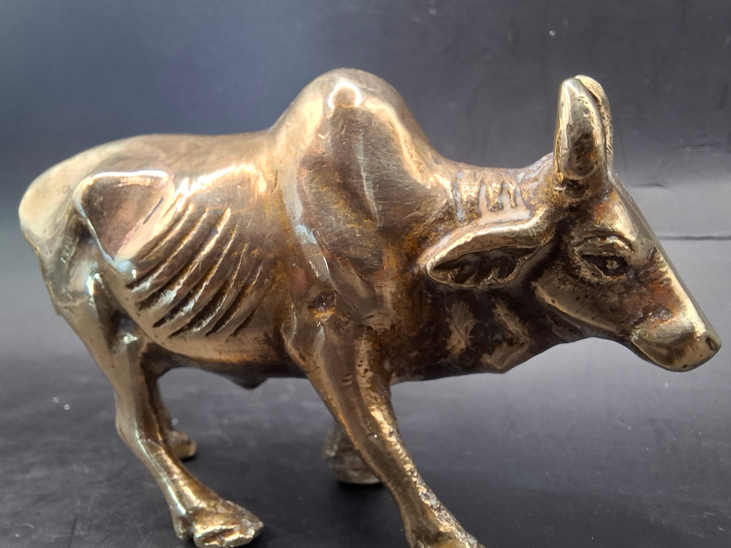 Metal Cow