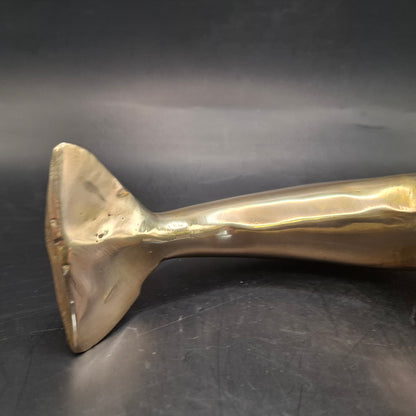 Metal Dolphin