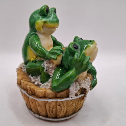 Weird Frogs (More of them!)