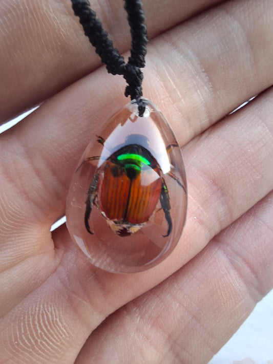 Little Chafer Beetle Necklace