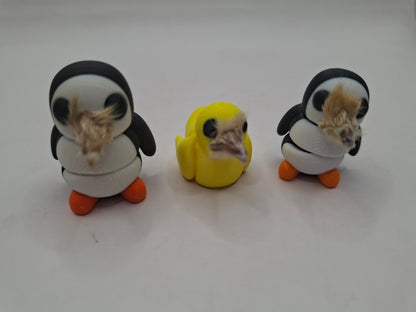 Birds & The Beeks