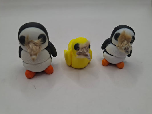 Birds & The Beeks