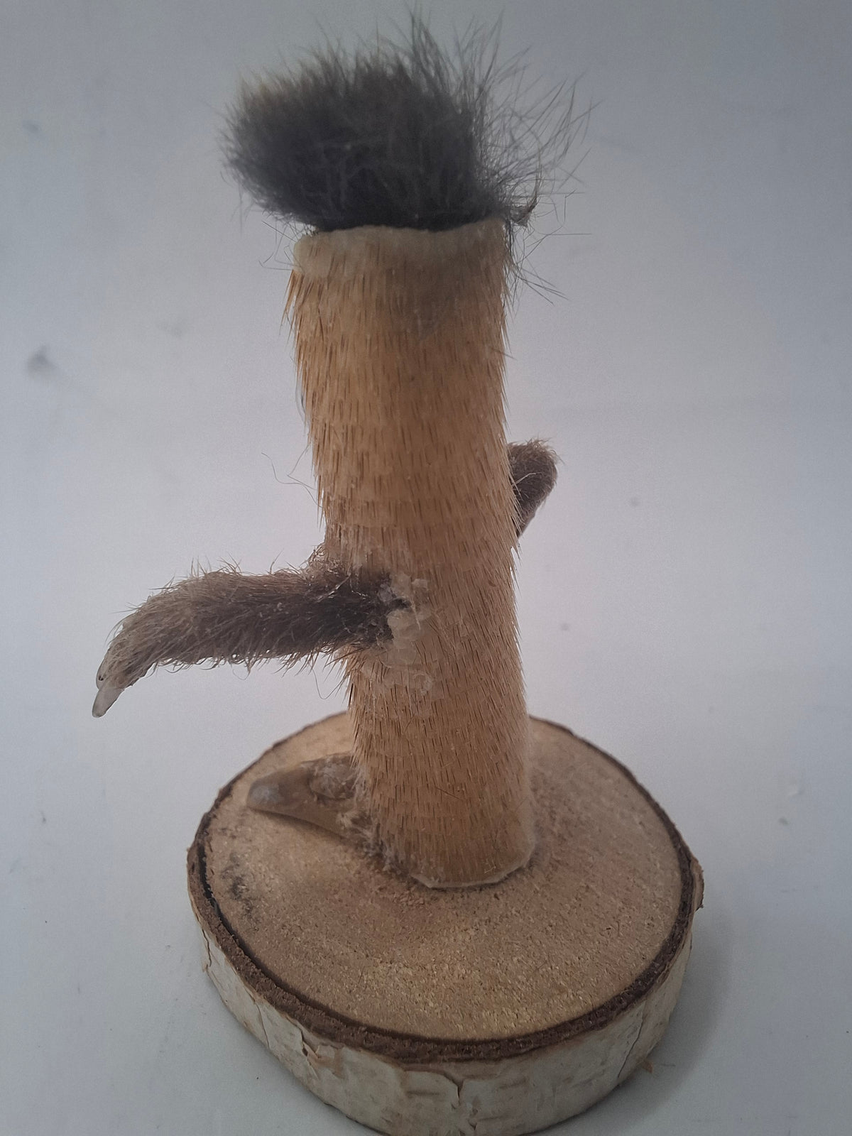 Mini Mate