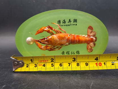 Crayfish In Resin