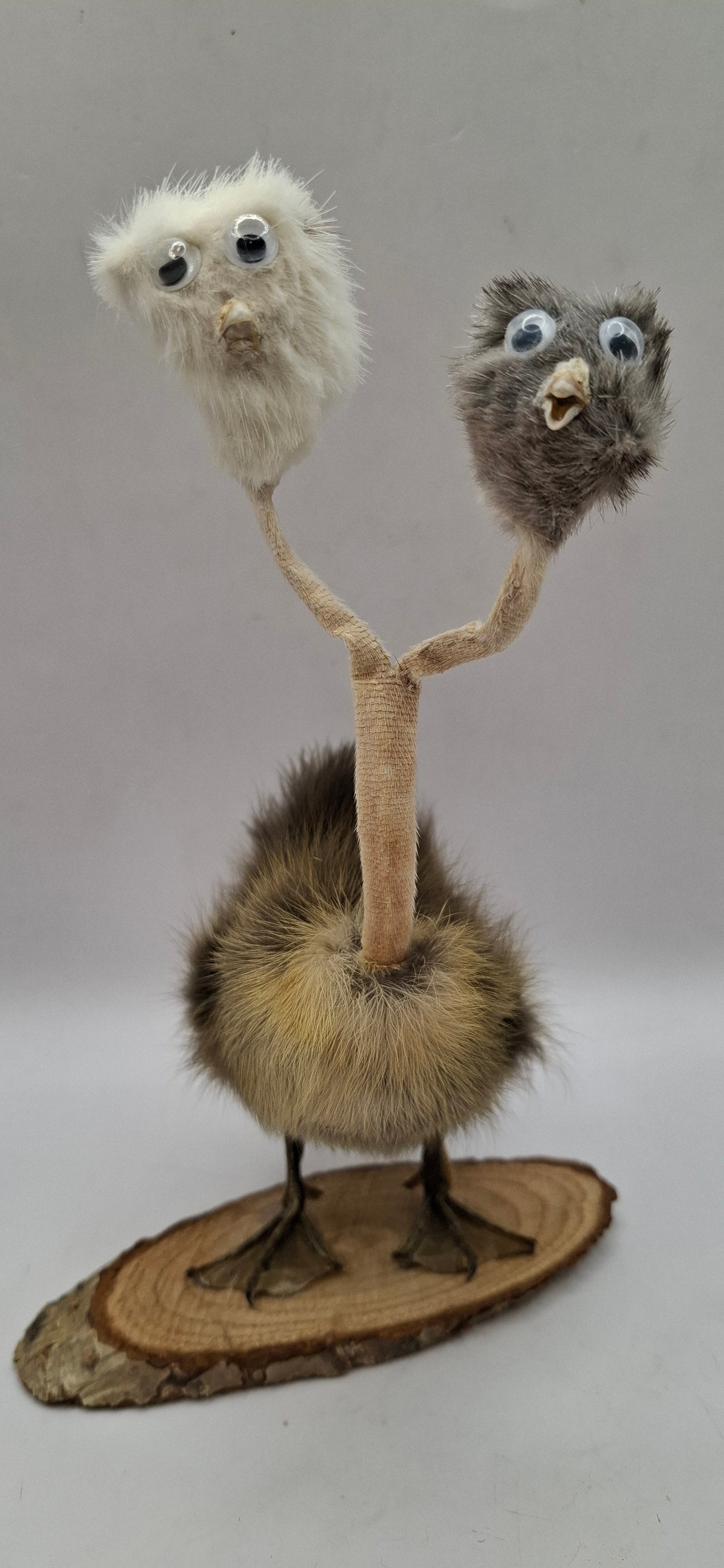 Twin Beaks