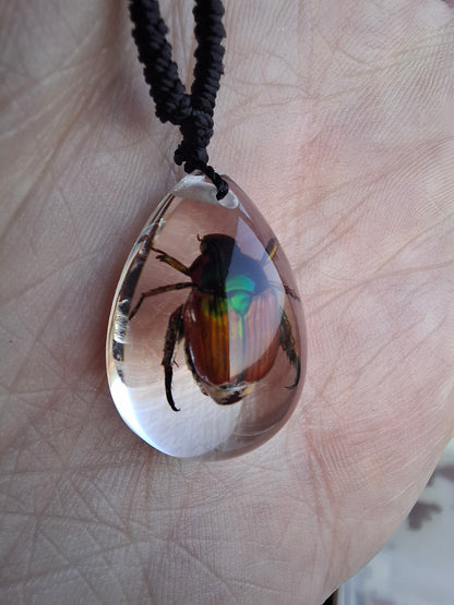 Little Chafer Beetle Necklace