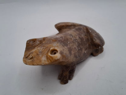 Weird Frogs