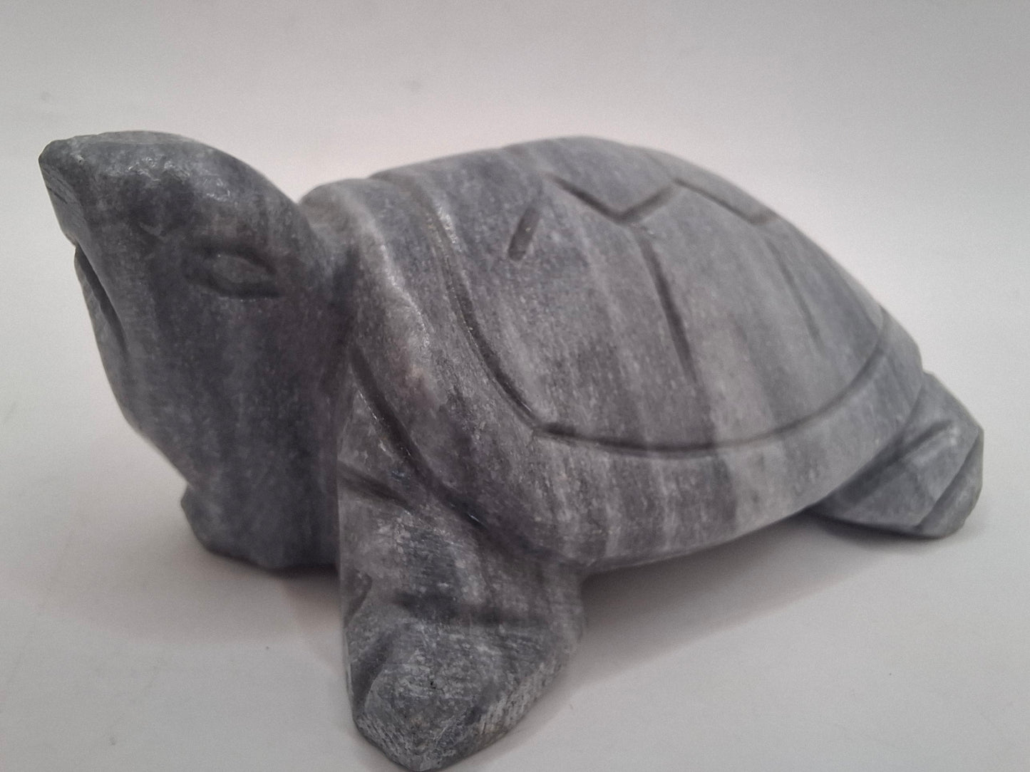 Sad Looking Turtle Carving