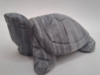 Sad Looking Turtle Carving