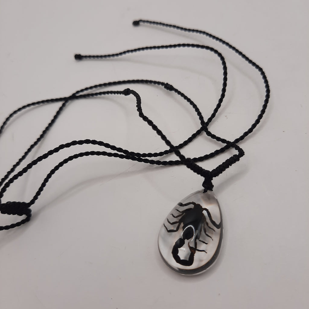 Tiny Scorpion Necklace