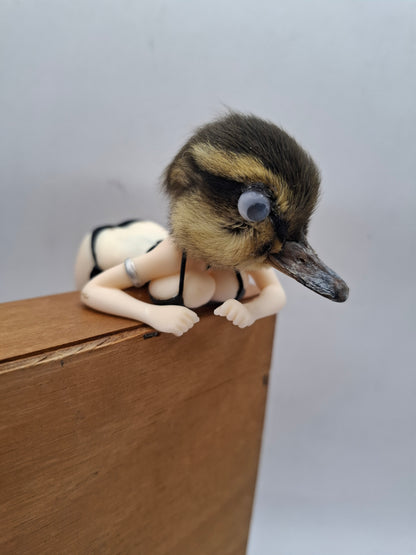 Peeping Duck