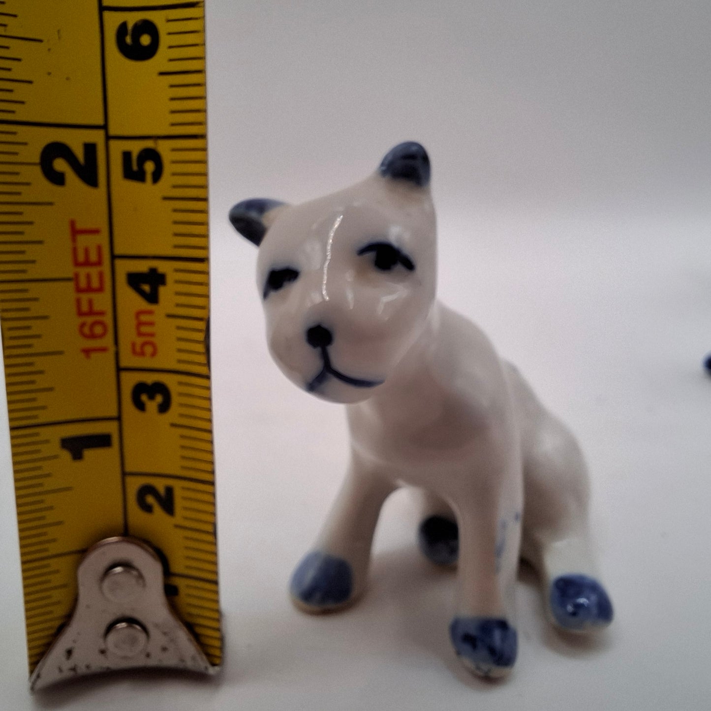 Blue & White Animals