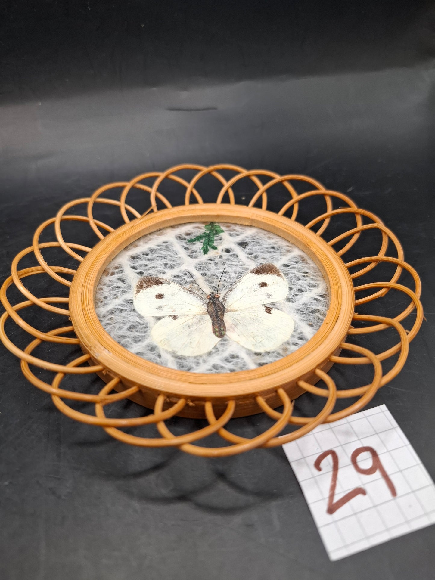 Butterfly Coasters