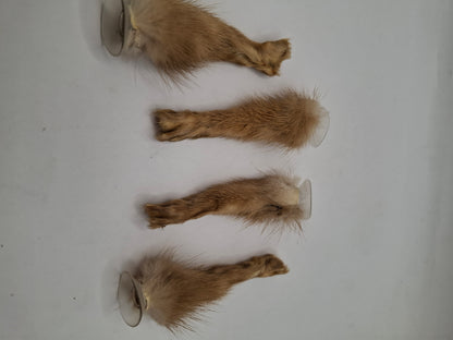 Limited Edition Window Leg