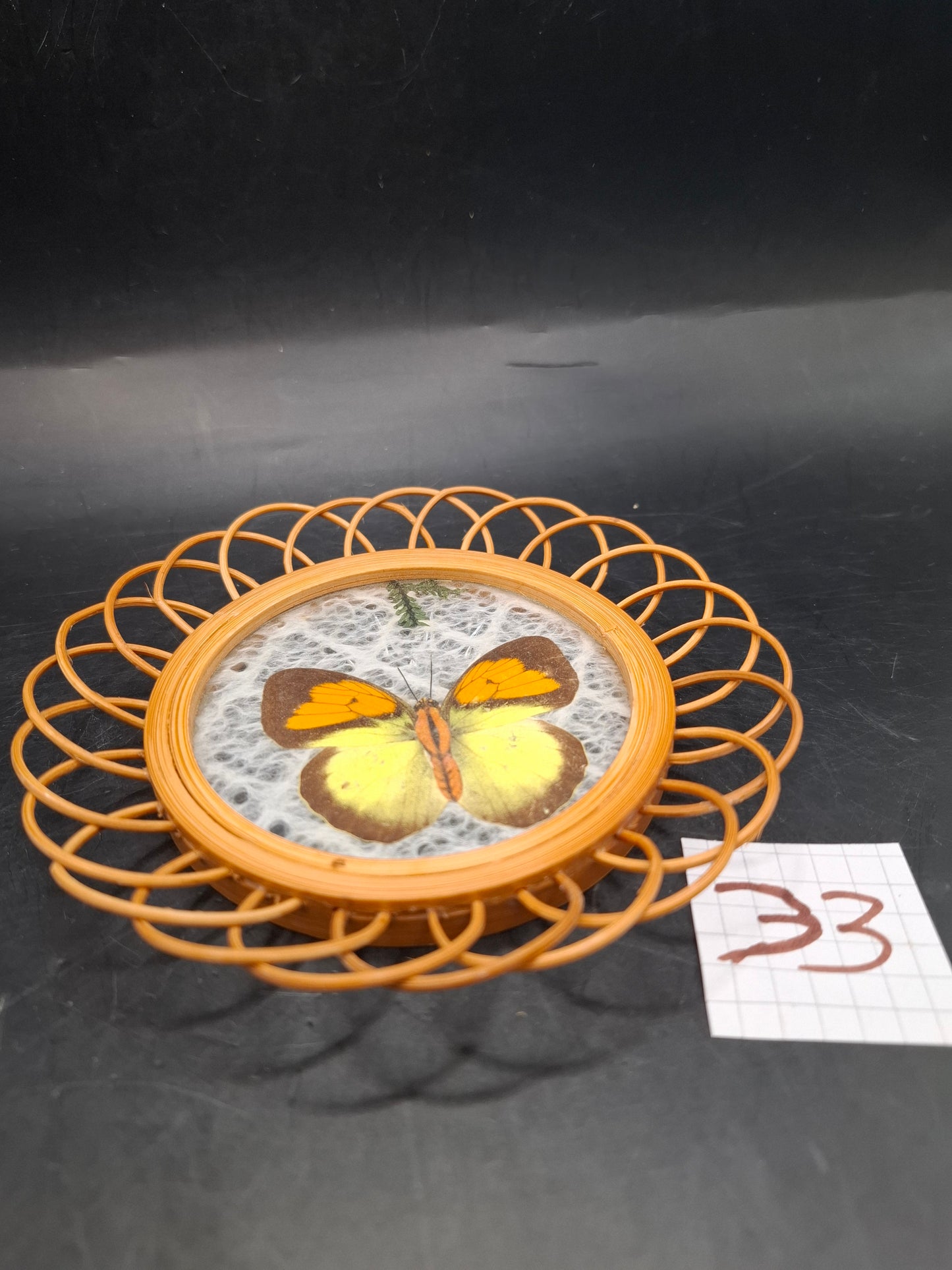 Butterfly Coasters