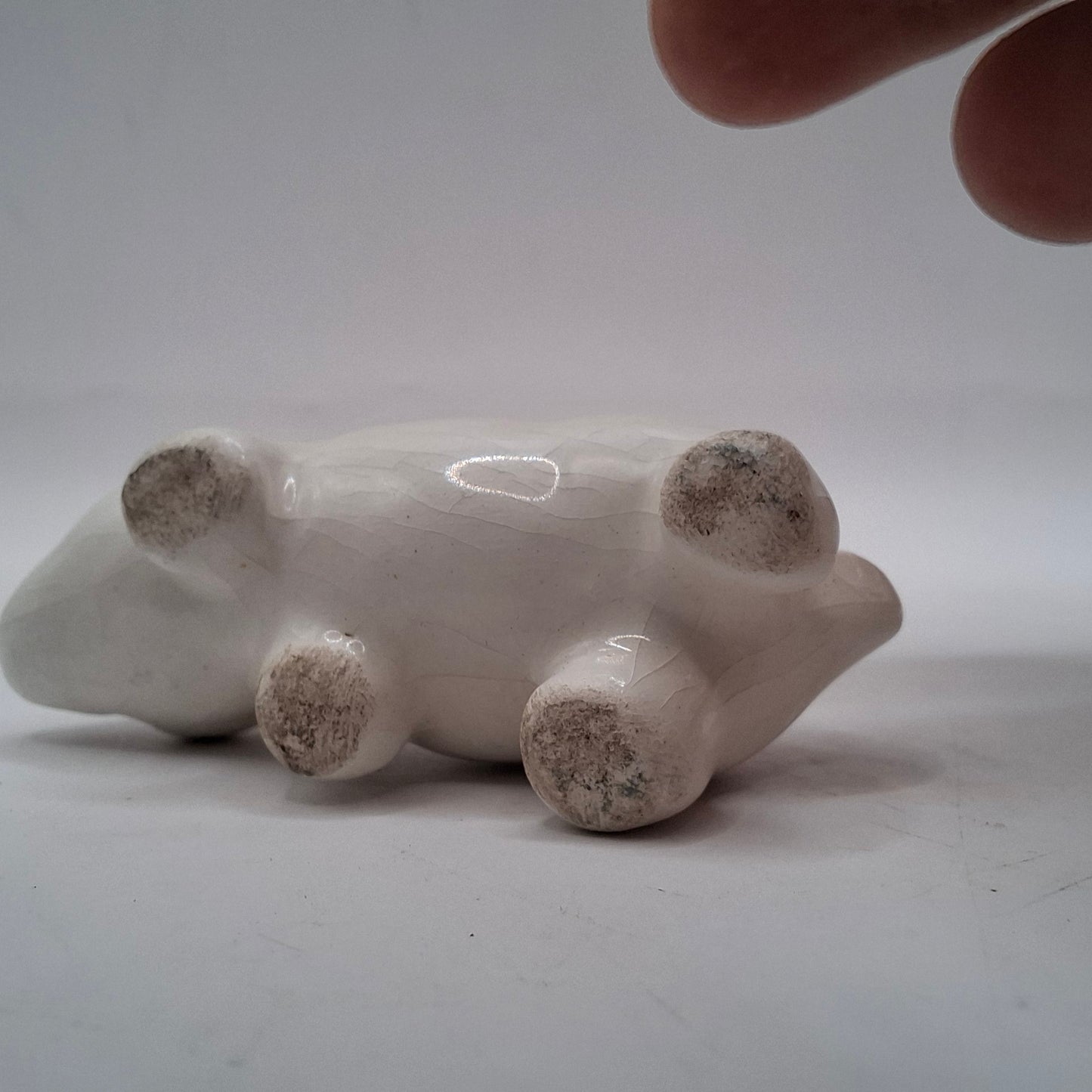 Tiny Animals