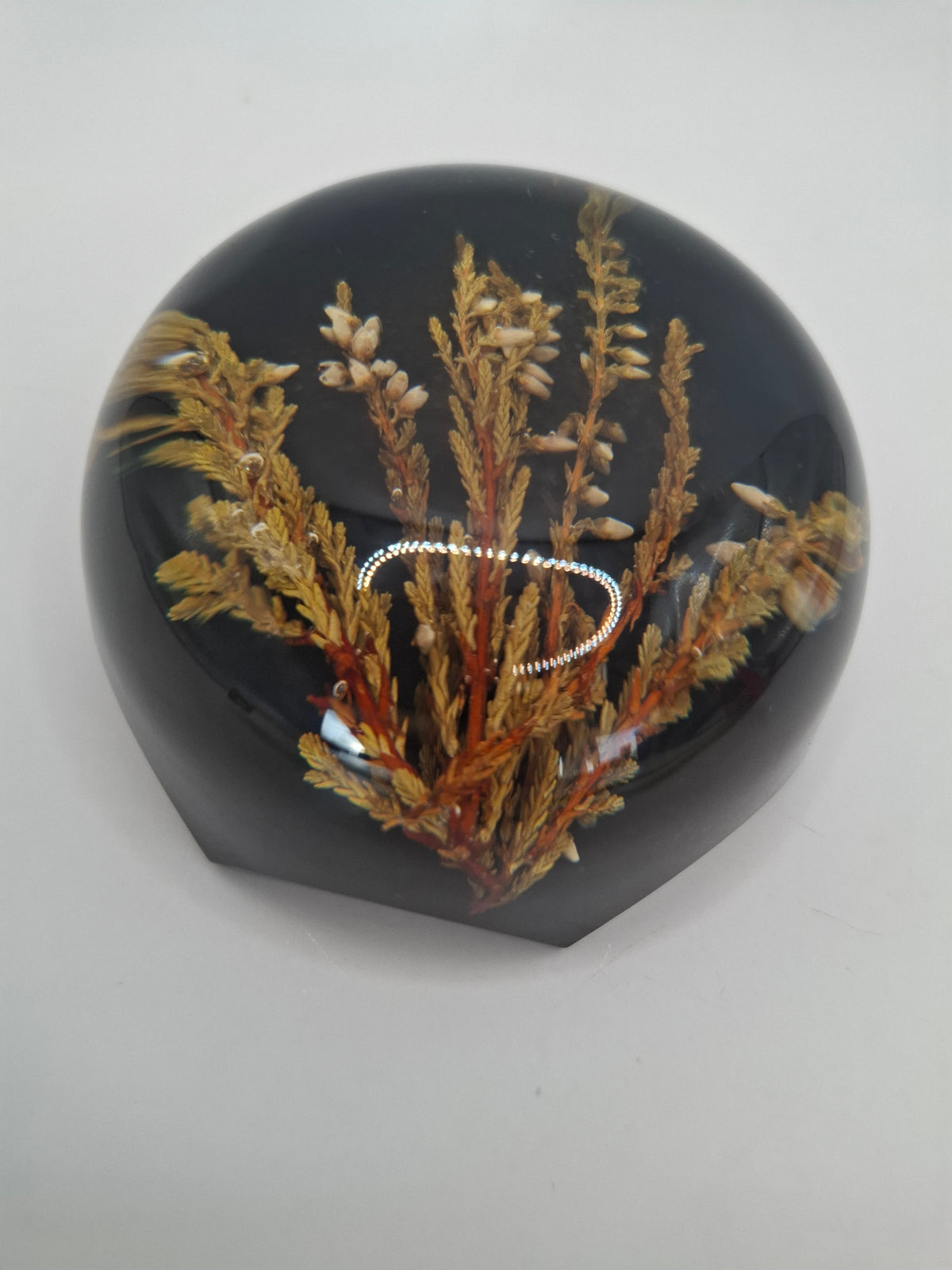 Vintage Dark Resin Plant