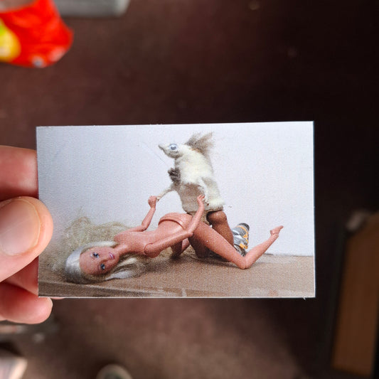 "Rogering" Fridge Magnet