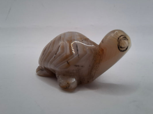 Small Turtle Carving
