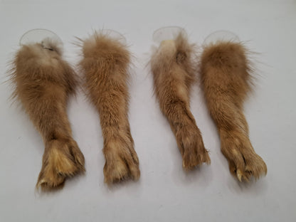 Limited Edition Window Leg