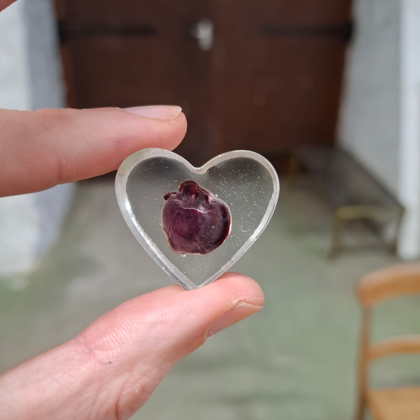 Rat Heart