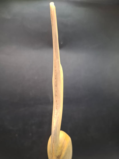 Bigger Mounted Bird Horn Carving (UK Only)